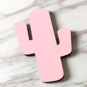 Wandhaak Cactus Roze